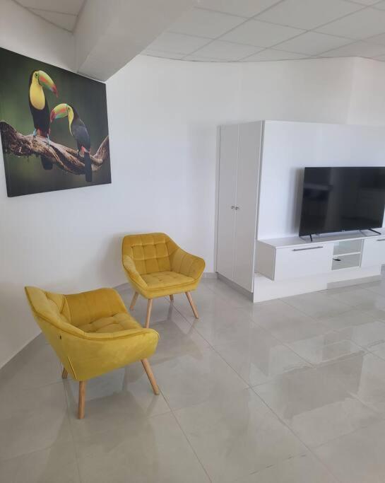 Hello Guyane Apartment Cayenne Bagian luar foto