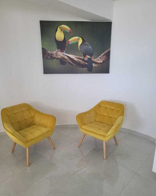 Hello Guyane Apartment Cayenne Bagian luar foto